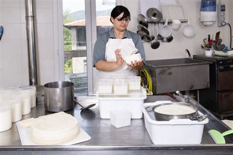 Cheesemaker Turns The Shapes Of Fresh Cheese Stock Photo Image Of