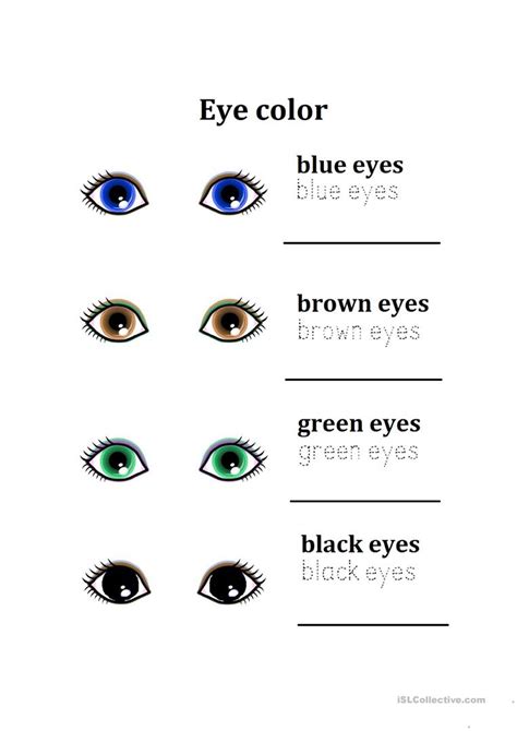 Eye Color Worksheet Free Esl Printable Worksheets Made