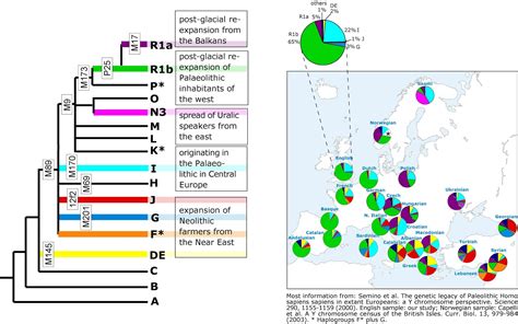 Sardinian People [genetics] Y Dna Haplogroups Distribution In Sardinians
