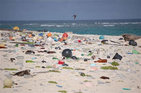 Beach Strewn With Plastic Debris Marine Debris Litters A B Flickr
