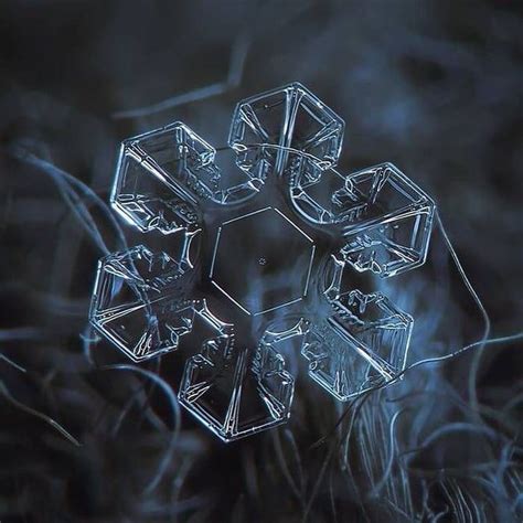 Absolutely Incredible Macro Photography Of Snowflakes Awesome