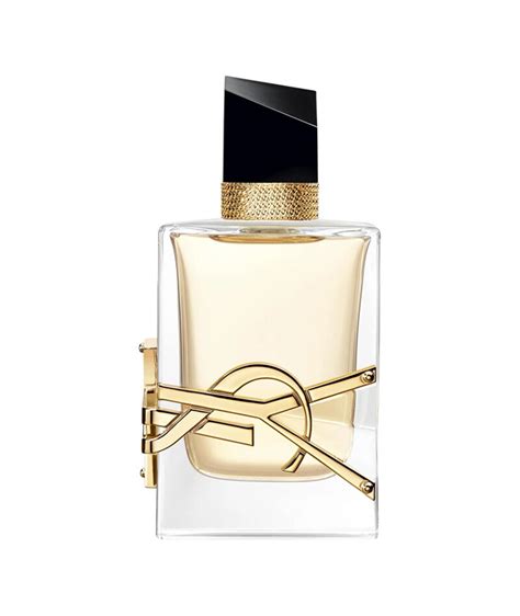 18 Best Musk Perfumes Musk Perfumes For Women 2022