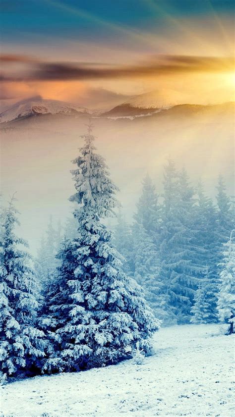 雪の森 Iphone14スマホ壁紙待受画像ギャラリー Winter Background Winter Pictures