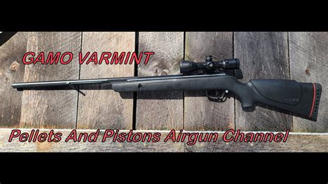 A Look At The Gamo Varmint Air Rifle Youtube