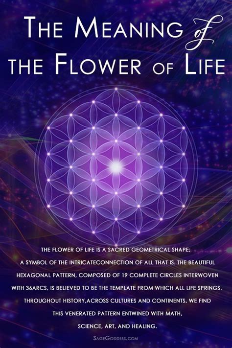 Flower Of Life Meditation For Universal Love Sage Goddess Sacred