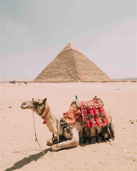 guide to visiting the pyramids of giza in egypt everything you need to know flying the nest