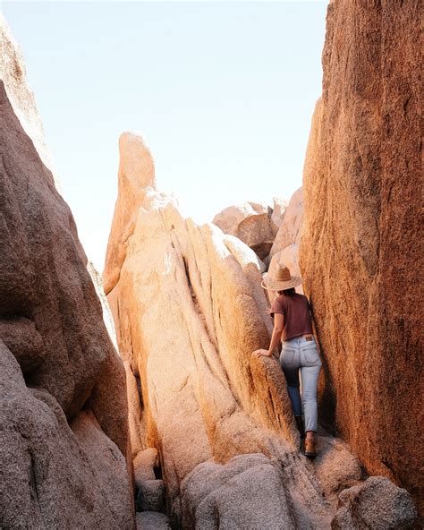 Field Guide Arch Rock Trail In Joshua Tree National Park