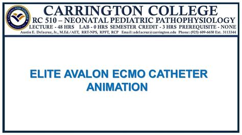 Elite Avalon Ecmo Catheter Youtube