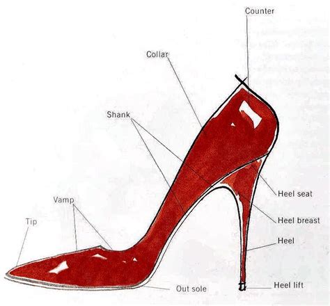 Problema Sudamerica Sencillez Heel Shoe Anatomy Enviar En Progreso O