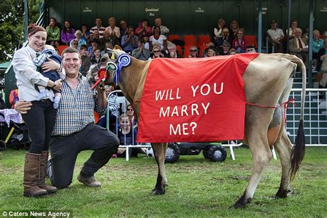 Man Proposes To His Dairy Farmer Girlfriend At Derbyshire S Ashbourne Show Daily Mail Online