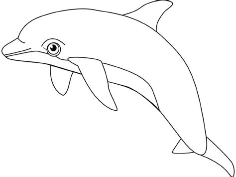 Dolphin Template Printable Printable Blank World