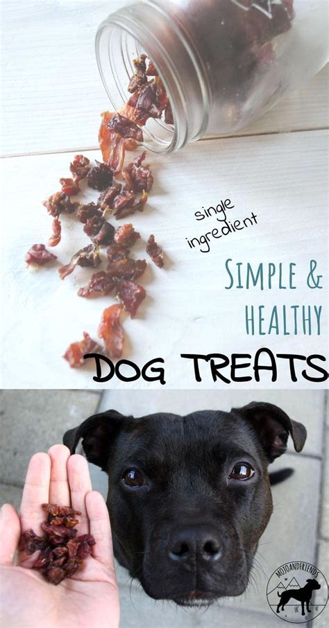 Your dog's treats should be easy on their teeth. Homemade dog treats with one single ingredient | Recipe | Homemade dog treats, Can dogs eat, Diy ...
