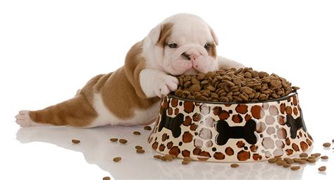 Specialty formulas are available, too. The 10 Best Puppy Food 2020 - Reviews & Buyer's Guide