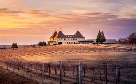 List Of North Georgia Wineries To Visit Kazzit Us Wineries