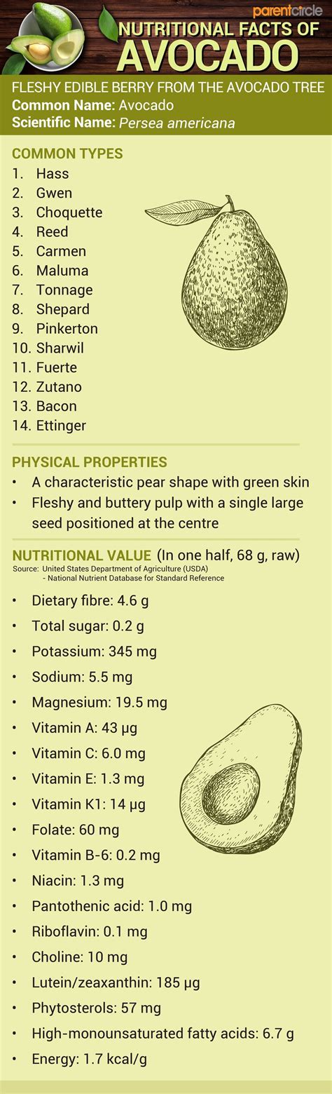 Avocado Fruit Nutritional Value Per 100g Avocado Health Benefits And Nutrition Facts Benefits Of
