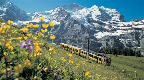 Jungfraujoch Tours And Activities Expedia