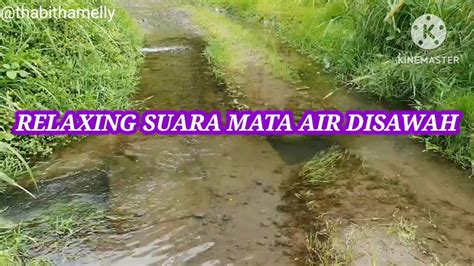 Relaxing Suara Mata Air Disawah Thabithamelly Youtube