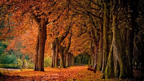 Autumn Scenery Wallpaper 57 Images