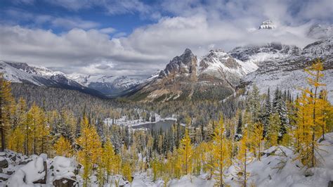 Early Snow In The Yoho National Park Backiee