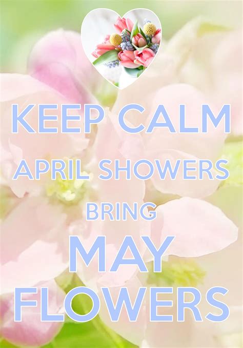 A Pink Flower With The Words Keep Calm And April Showers Bring May Flowers