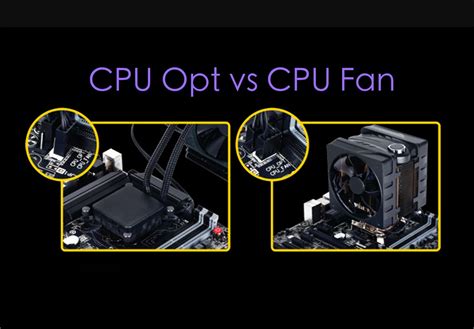 Cpu Opt Vs Cpu Fan Which Header Should You Use Spacehop
