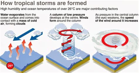 Tropical Cyclones Favorable Conditions For Formation Stages Of