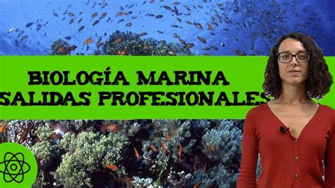 Biología marina Qué es Salidas profesionales YouTube