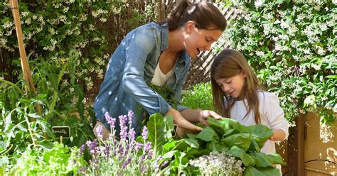 Plantas Para Niños Fáciles De Cuidar