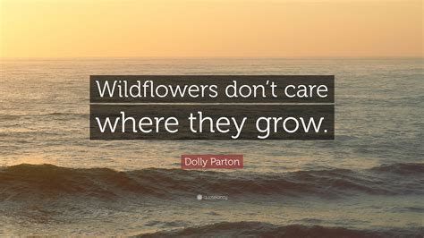 Logged in users can submit quotes. Dolly Parton Quote: "Wildflowers don't care where they grow." (12 wallpapers) - Quotefancy