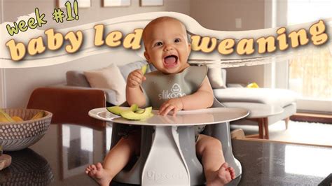 First Week Of Baby Led Weaning At 6 Months Old Blw Tips Advice