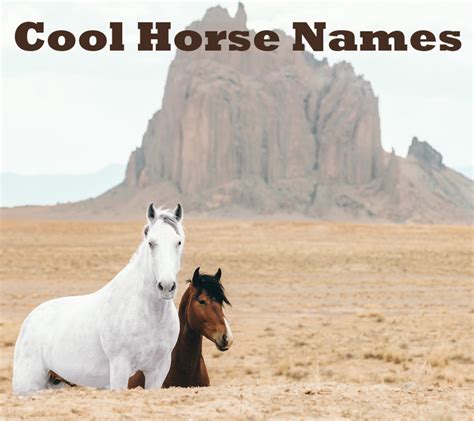 250 Really Cool Horse Name Ideas Pethelpful