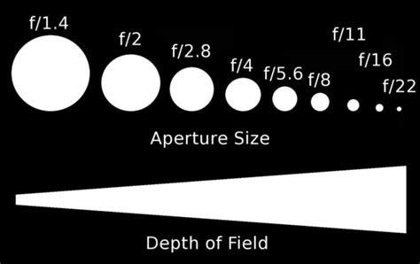 How To Understand Aperture In 5 Simple Steps Expert Photography