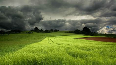 Storm Clouds Over A Field Of Green Wheat Wallpapers And Images