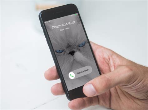 There are no separate logins, usernames, passwords, or pins to manage or lose. Popular encrypted messaging app Signal adds video calls - CNET