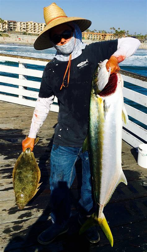 California Yellowtail Pier Fishing In California