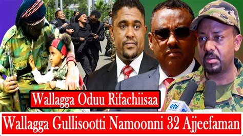 Agm Oduu Gaddaa Wallaggattii Namoonni 32 Bakka Tokkootti Ajjeefaman