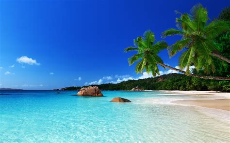 Free Download Tropical Island Wallpapers Images 1920x1200 For Your