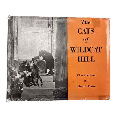 Edward Weston Vintage Cats Of Wildcat Hill Dust Jacket Available For
