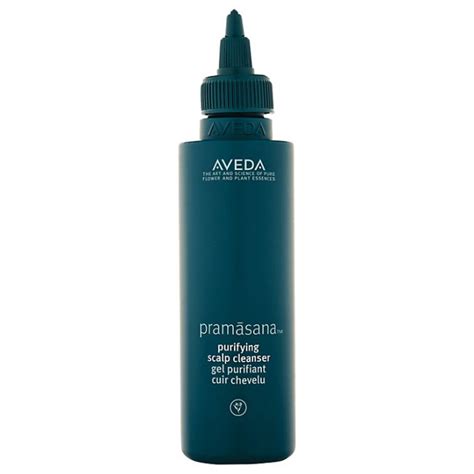 Aveda Pramasana Purifying Scalp Cleanser 150ml | Quartz ...