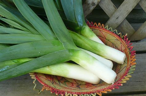 Leeks Recipes From Nashs Organic Produce