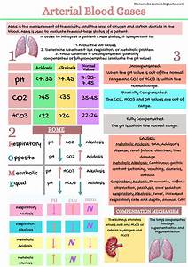 Arterial Blood Gas Levels Chart S 2 Ondorvlv Hwderolf Studocu