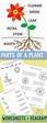 Parts Of A Plant For Kids Printable