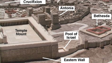 Wednesday Bible Study John 5 The Pool Of Bethesda American Loon