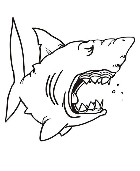 Coloring pages whale shark pictures to color hammerhead. Sharks for children - Sharks Kids Coloring Pages