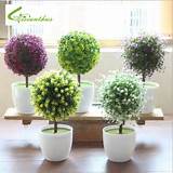 Pictures of Small Potted Flowers Wholesale