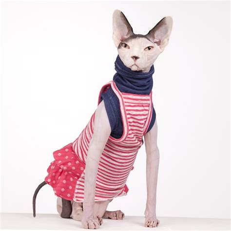 Sphynx Cat Wear The Original Sphynx Clothing Company