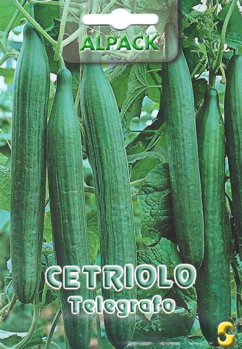 Pictorial Packet Cucumber Telegraph Pictorial Packet Premier Seeds