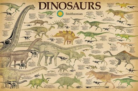 Smithsonian Dinosaurs Info Chart Poster 36x24 Sold By Artcom
