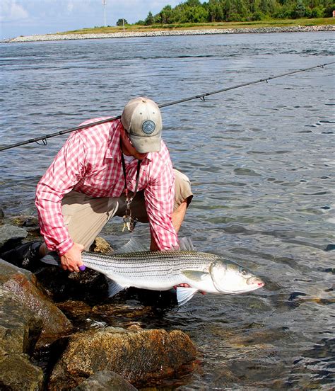 How To Catch Striped Bass On The Water