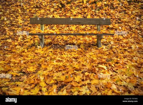 Autumn Bench In Park Stock Photo Alamy